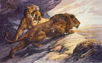 Alarm, The (Lion) (Restrike Etching) art print by Herbert Thomas Dicksee