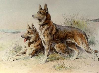 Alsatians (Restrike Etching)