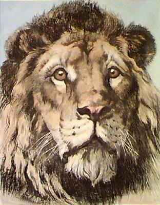 Lions Head (Restrike Etching) art print by Herbert Thomas Dicksee