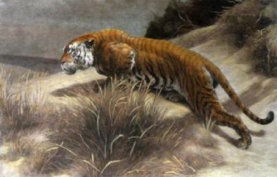 Startled (Tiger) (Restrike Etching) art print by Herbert Thomas Dicksee