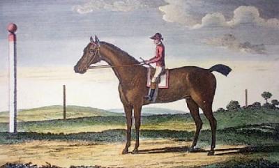 Goldfinder (Restrike Etching) art print by James Roberts