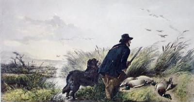 Duck (Restrike Etching) art print by Richard Ansdell