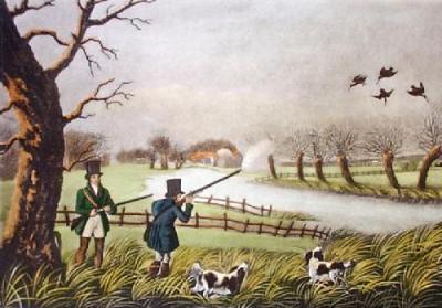 Snipe (Restrike Etching) art print by Robert Havell
