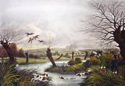 Wild Duck (Restrike Etching) art print by Robert Havell