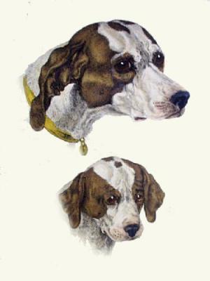 Hounds Head (Restrike Etching) art print by Sir Edwin Henry  Landseer