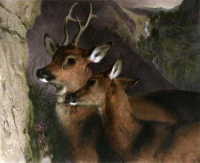 The Honeymoon (Deer) (Restrike Etching) art print by Sir Edwin Henry  Landseer