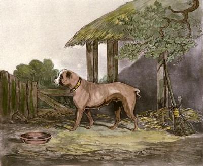 Lucy (Bulldog) (Restrike Etching) art print by Smith