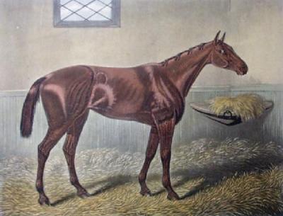 Hannah (Restrike Etching) art print by Walter Hunt