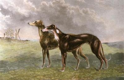 Honeywood & Plunger (Restrike Etching) art print by Walter Hunt