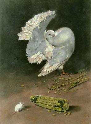Dignity & Impudence (Dove & Mouse) (Restrike Etching) art print by William Hamilton