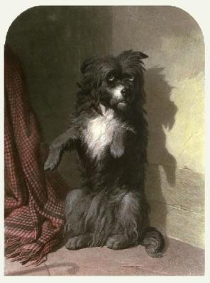 Naughty Dog (Restrike Etching) art print by A Davis Cooper