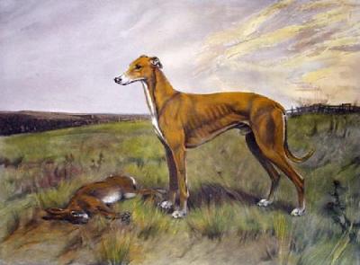 Dendraspis (Restrike Etching) art print by Anonymous