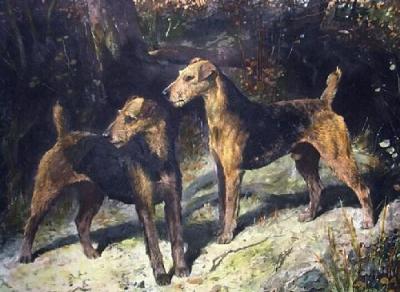 Airedales of the 20th Century (Restrike Etching) art print by Arthur Wardle