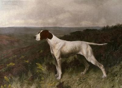 Pointer of The 20th Century (Restrike Etching) art print by Arthur Wardle
