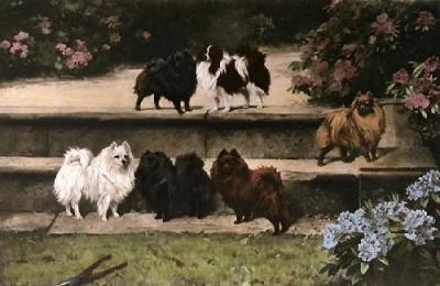 Pomeranians (Restrike Etching) art print by Arthur Wardle
