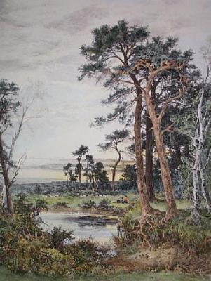 Amongst the Surrey Pine Trees (Restrike Etching) art print by Benjamin Williams Leader