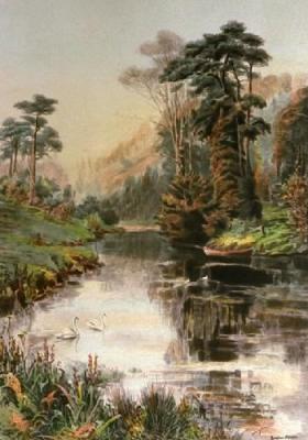 Nature's Mirror (Restrike Etching) art print by Douglas Adams
