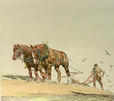 Ploughing - Plate 2 (Restrike Etching) art print by Graham Clilverd