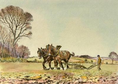 Ploughing - Plate 3 (Restrike Etching) art print by Graham Clilverd