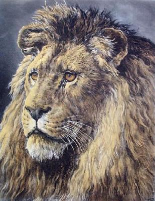 African Monarch, An (Lion) (Restrike Etching) art print by Herbert Thomas Dicksee