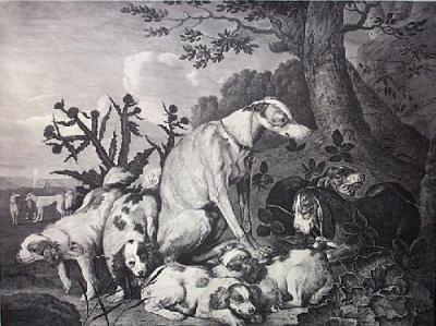 Portrait of Dogs (Restrike Etching) art print by Jan Fyt