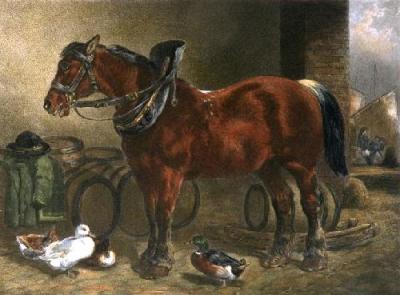 Dray Horse (Restrike Etching) art print by John Frederick Herring