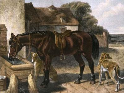 Farmer's Hack (Restrike Etching) art print by John Frederick Herring