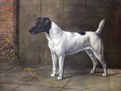 D'orsay, Champion (Restrike Etching) art print by Maud Earl