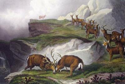 A Forest Joust (Restrike Etching) art print by Sir Edwin Henry  Landseer