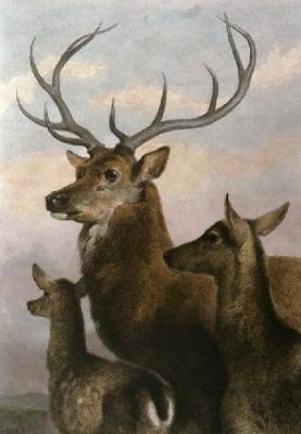 Deer Family (Restrike Etching) art print by Sir Edwin Henry  Landseer