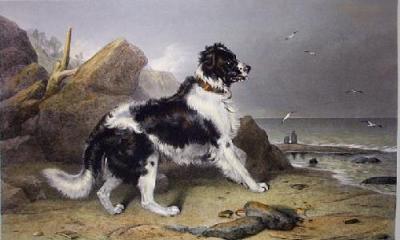 Off to the Rescue (Large) (Restrike Etching) art print by Sir Edwin Henry  Landseer