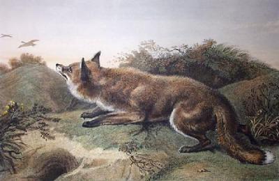 Poacher (Restrike Etching) art print by Sir Edwin Henry  Landseer
