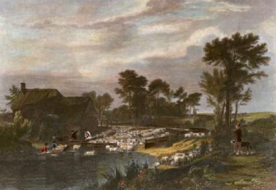 Sheep Washing (Restrike Etching) art print by Wilkie