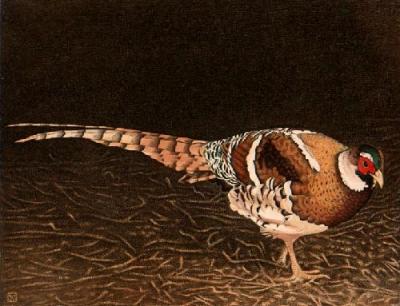 Elliots Pheasant (Restrike Etching) art print by Alex Mackay