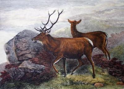 They're Away (Restrike Etching) art print by Anonymous