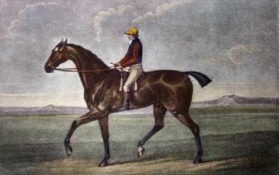 Diamond (Restrike Etching) art print by George Stubbs