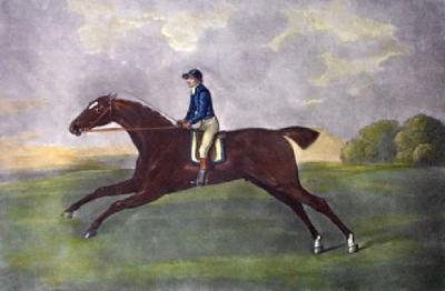 Lurcher (Restrike Etching) art print by George Stubbs