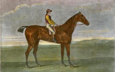 Hambletonian (Restrike Etching) art print by John Sartorius