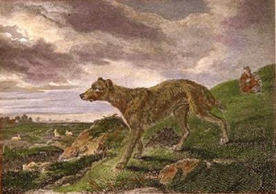 Lurcher (Restrike Etching) art print by Philip Reinagle