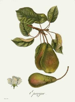 Epargne (Restrike Etching) art print by Pierre-Antoine Poiteau
