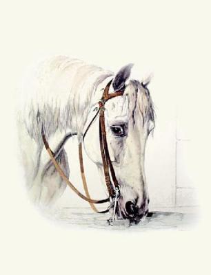 A Good Templer (Restrike Etching) art print by Richard Ansdell