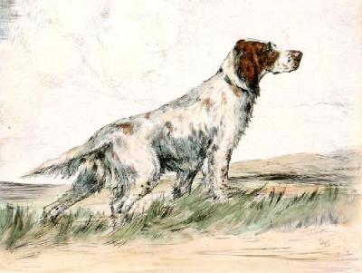English Setter (Restrike Etching) art print by Ward Binks