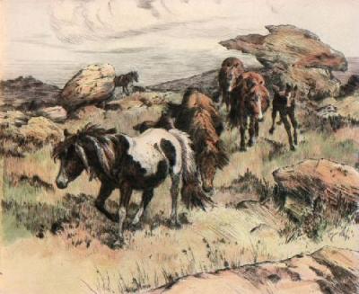 Ponies (Restrike Etching) art print by Winifred Austen