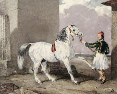 Greek & White Arab Horse (Restrike Etching) art print by Abraham Cooper