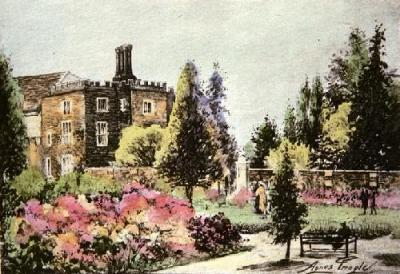 Azaleas, Hampton Court (Restrike Etching) art print by Agnes Pringle