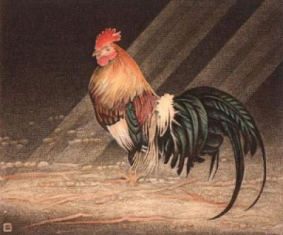 Cockerel (Restrike Etching) art print by Alex Mackay