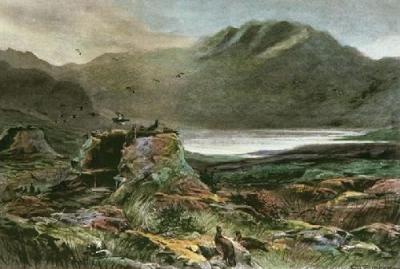 Grouse Driving - Plate I (Restrike Etching)