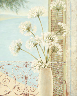 Agapanthus Shutter