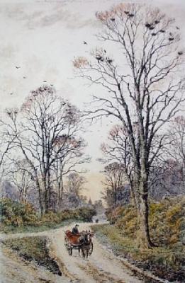 The Old Rookery (Restrike Etching) art print by Frederick Albert Slocombe