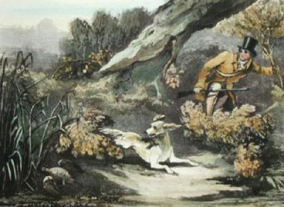 Snipe Shooting (Restrike Etching) art print by Henry Pyall